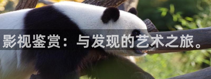 yy44800青苹果影院