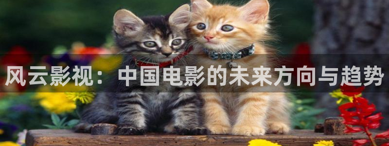 yy4480青苹果影院：风云影视：中国电影的未来方向与趋势